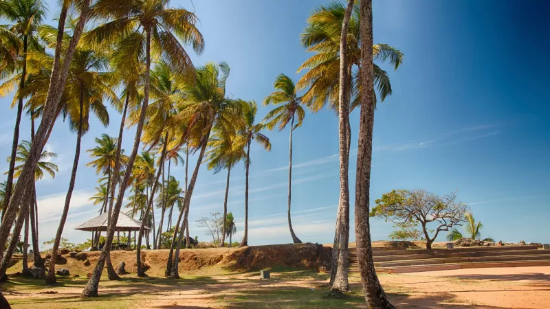 Cabinet comptable à Cayenne en Guyane